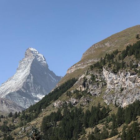Ferienwohnung Joy - Matterhorn View Zermatt Exterior foto